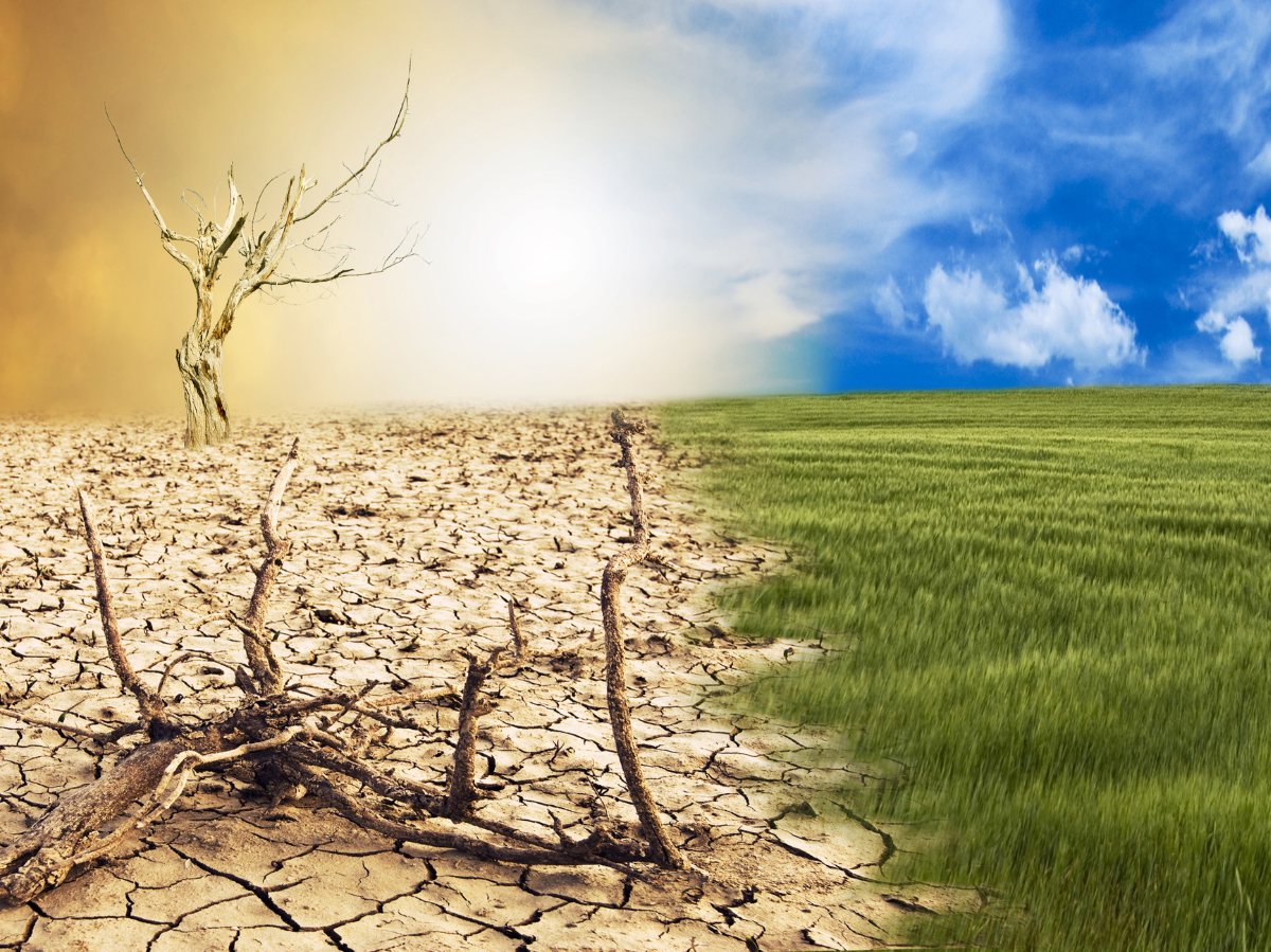 G20 und COP30: Schuldenkrise und Klimaziele unter Druck in Johannesburg!