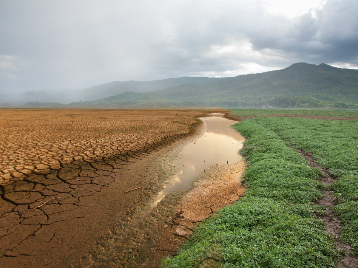 Teneriffa: Wetterprognose und Aktivitäten für Abenteuerlustige!
